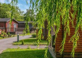 Roydon Marina Village - Roydon - 4