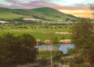 Swanborough Lakes Luxury Lodges - Lewes - 3