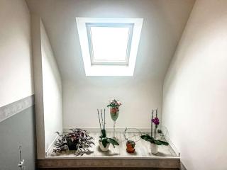 Maison contemporaine à Erdeven - 5 chambres, animaux acceptés - FR-1-479-223 - 1