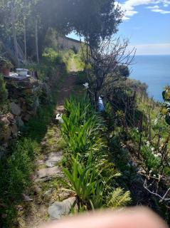 La luna in pesci - 8