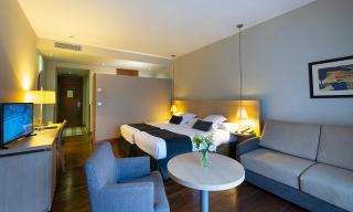 Hotel Spa Attica21 Vilalba - Villalba - 8