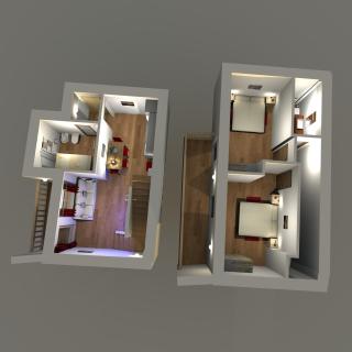 Alpinia - 6