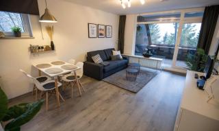Moderne Ferienwohnung Snow & Bike Winterberg 2-4 Personen direkt am Skilift und in der Nähe des Bikeparks - Winterberg - 0