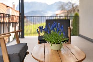 New Opening Vinea Guesthouse - Cornedo all'Isarco - 5