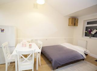 Lovely 1-Bedroom Flat in London near Blackhorse Rd - Londen - 3