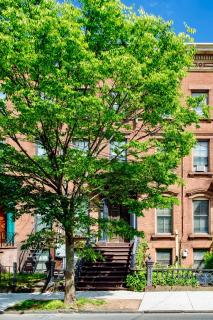 Charming Studio Near Yale Downtown New Haven - New Haven - 3