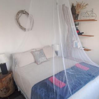 De Skaap - Napier - 8