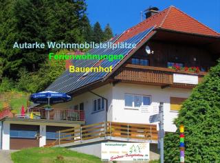 Sandras Bergstation - Bad Rippoldsau-Schapbach - 5
