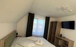 VILA DAVELY - Câmpulung Moldovenesc - 5