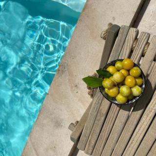 Gîte Eucalyptus L'Ecrin de Verdure piscine Chinon - 9