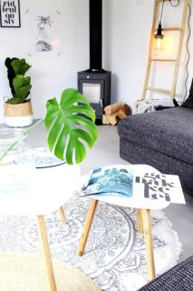 Cozy cottage with nice wood stove and veranda - Putten - 9