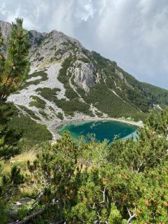 EFO Apartment - Bansko - 2