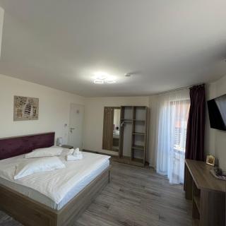 VILA DAVELY - Câmpulung Moldovenesc - 1