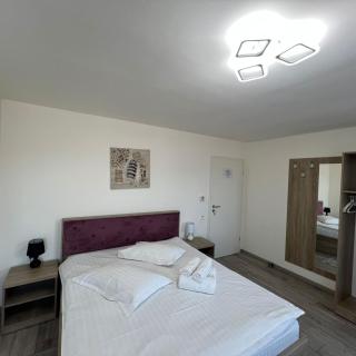 VILA DAVELY - Câmpulung Moldovenesc - 6