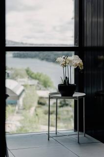 Town Centre Cozy 2 Bed 1 Bath with Free Parking - 6