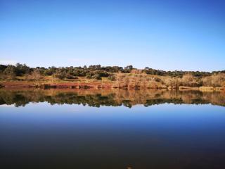 Le Nid des Maures - Le Cannet-des-Maures - 4
