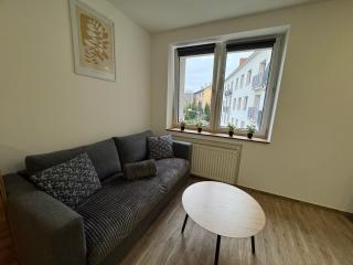 ApartamentsByMatyrafa-XI - Tarnowskie Góry - 6