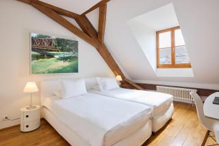 Gast - und Kulturhaus Der Teufelhof Basel - Basilea - 4