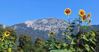 Ferienwohnungen Natur Pur - Bad Reichenhall - 7