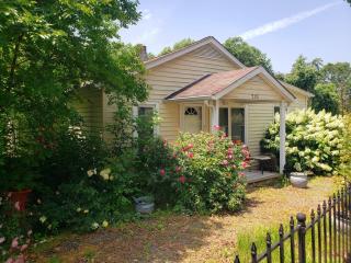 Yadkin Valley Retreat - Jonesville - 6