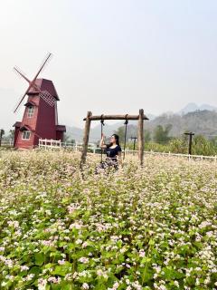 Mai Châu Lotus - Mai Châu - 7