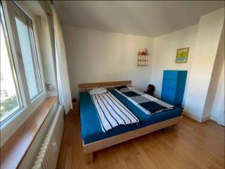 Full apartment in Basel - Basel - 1
