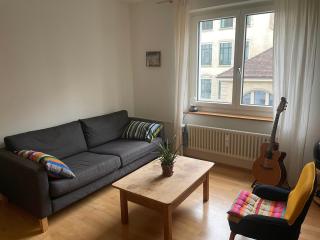 Full apartment in Basel - Basel - 3