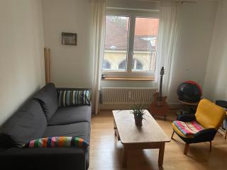 Full apartment in Basel - Basel - 4