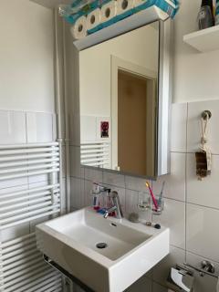 Full apartment in Basel - Basel - 5