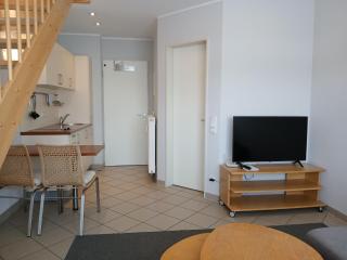 Schneeeule 206 - Granzow - 8