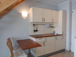 Schneeeule 206 - Granzow - 7