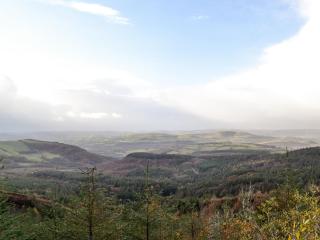 The Pig Sty - Llanfair-ar-y-bryn - 3