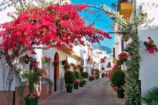 Kampaoh Estepona - Estepona - 5