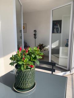 Grand T2 Pointe Rouge plage - Marsiglia - 5