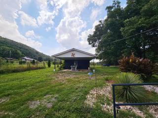 Blueberry Farm Nearby - Jonesville - 7