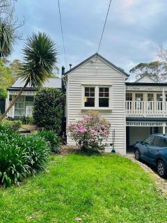 Tecoma Hazel Grove - 4