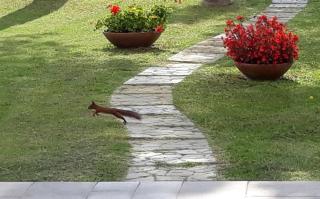 Piombino Apartments Villallegra - Baratti - 6