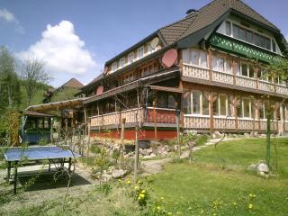 Gemütliches Appartement Mit Wintergarten - Bernau im Schwarzwald - 9