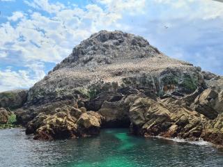 le F-de bassan - Perros-Guirec - 3