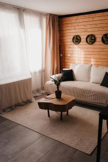 Schwarzwald Apartment - 9