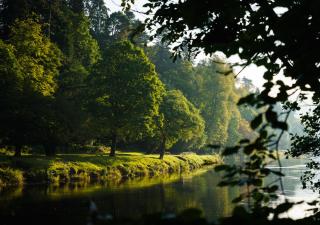 Inverbraan Cottage - Dunkeld - 8