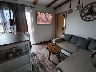 Cattleya - Novigrad (Cittanova d'Istria) - 3