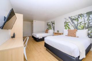 Modern- 2 Queen bed suite with pool near Disney World - 5