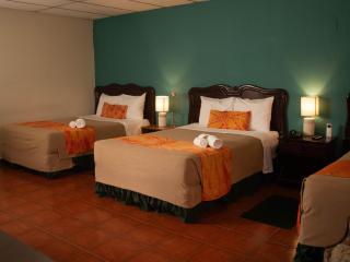 Eco Hotel Mariscal - San Salvador - 8