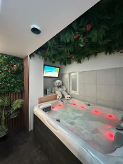 Évasion Spa Jacuzzi Sauna - Eckbolsheim - 0