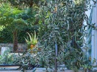 Casa Saint Antonio - Rovinj - 2