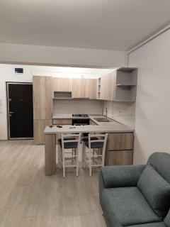 LC APARTMENTS Suceava - Suceava - 1