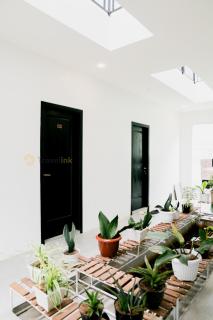 Haura By Travelink - 4