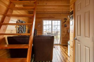 So Secluded and Magical with Easy Access and Pet Friendly - 3