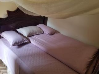Birdsnest chill out - Nalakonge - 0